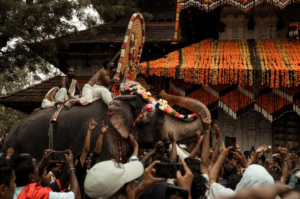 Categories Elephant adorned with vibrant decorations parades through a festive procession with a cheering crowd.